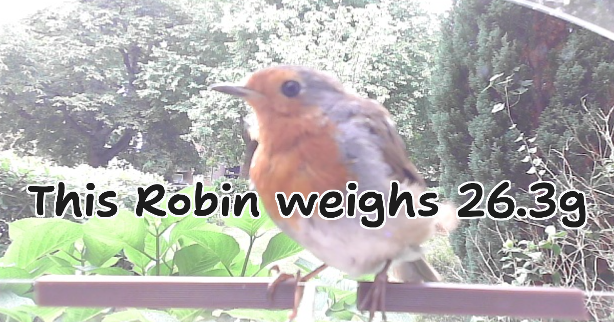 Smart Bird Feeder Part 2 - How can I automatically identify bird species from an image? - Using Tensorflow and a webcam to spot birds